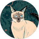 Donna Woodcock profile picture