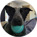 Nathan Ghobril profile picture